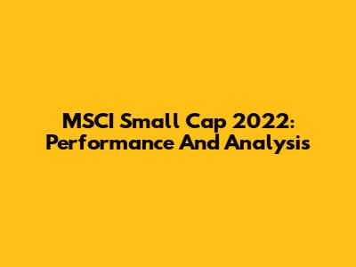 MSCI Small Cap 2022: Performance And Analysis