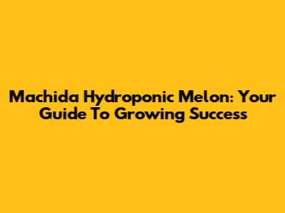 Machida Hydroponic Melon: Your Guide To Growing Success