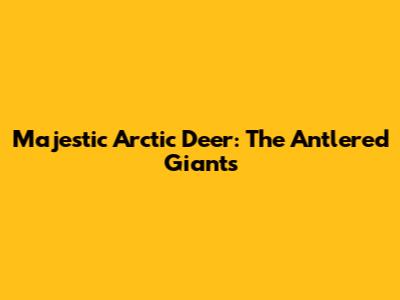 Majestic Arctic Deer: The Antlered Giants