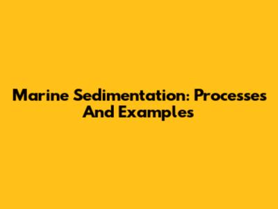 Marine Sedimentation: Processes And Examples