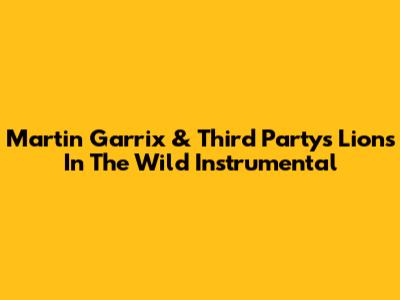 Martin Garrix & Third Party's "Lions In The Wild" Instrumental