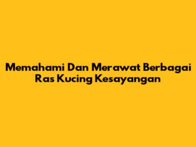 Memahami Dan Merawat Berbagai Ras Kucing Kesayangan