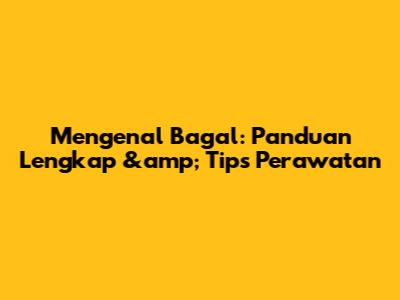 Mengenal Bagal: Panduan Lengkap &amp; Tips Perawatan