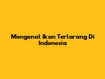 Mengenal Ikan Terlarang Di Indonesia
