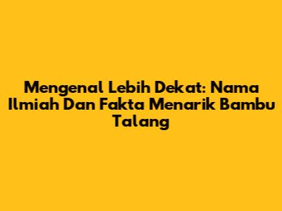 Mengenal Lebih Dekat: Nama Ilmiah Dan Fakta Menarik Bambu Talang