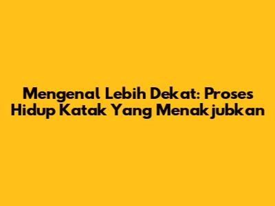 Mengenal Lebih Dekat: Proses Hidup Katak Yang Menakjubkan