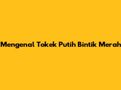 Mengenal Tokek Putih Bintik Merah