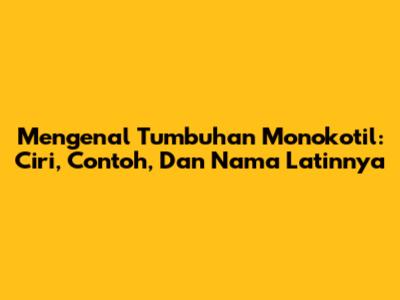 Mengenal Tumbuhan Monokotil: Ciri, Contoh, Dan Nama Latinnya