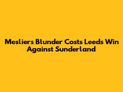 Meslier's Blunder Costs Leeds Win Against Sunderland