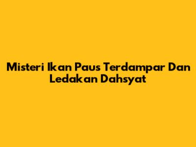 Misteri Ikan Paus Terdampar Dan Ledakan Dahsyat