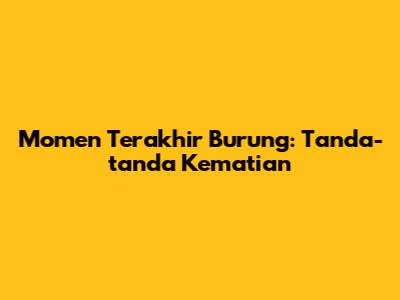 Momen Terakhir Burung: Tanda-tanda Kematian