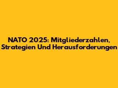 NATO 2025: Mitgliederzahlen, Strategien Und Herausforderungen