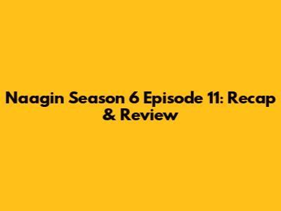 Naagin Season 6 Episode 11: Recap & Review