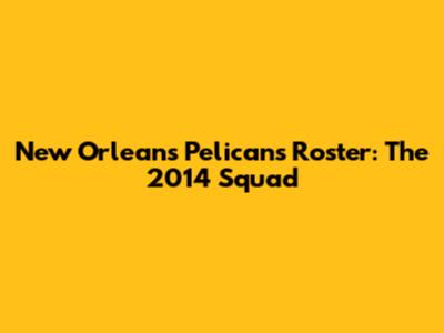 New Orleans Pelicans Roster: The 2014 Squad