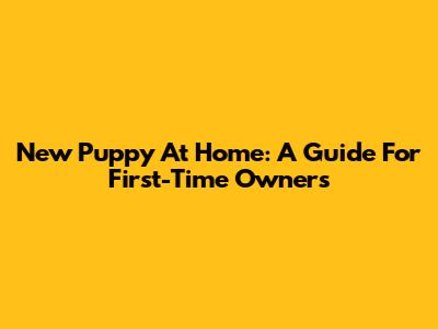 New Puppy At Home: A Guide For First-Time Owners