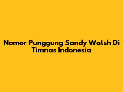 Nomor Punggung Sandy Walsh Di Timnas Indonesia