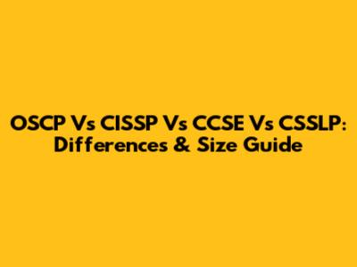 OSCP Vs CISSP Vs CCSE Vs CSSLP: Differences & Size Guide