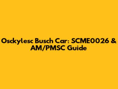 Osckylesc Busch Car: SCME0026 & AM/PMSC Guide