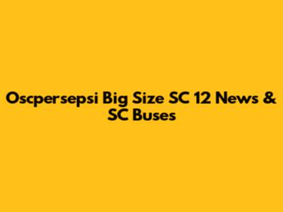 Oscpersepsi Big Size SC 12 News & SC Buses