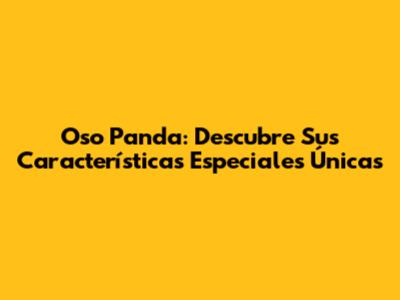 Oso Panda: Descubre Sus Características Especiales Únicas