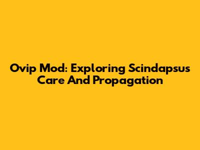 Ovip Mod: Exploring Scindapsus Care And Propagation