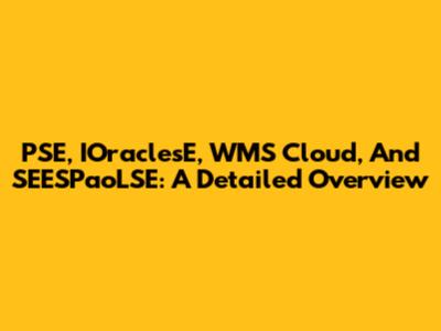 PSE, IOraclesE, WMS Cloud, And SEESPaoLSE: A Detailed Overview