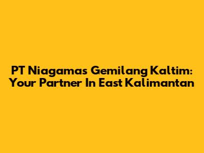 PT Niagamas Gemilang Kaltim: Your Partner In East Kalimantan
