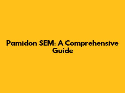 Pamidon SEM: A Comprehensive Guide