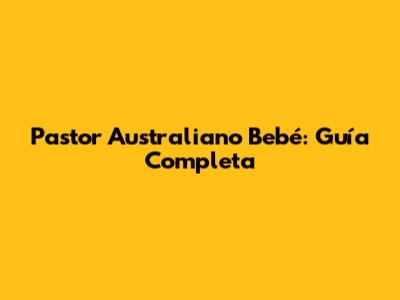 Pastor Australiano Bebé: Guía Completa