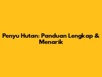 Penyu Hutan: Panduan Lengkap & Menarik
