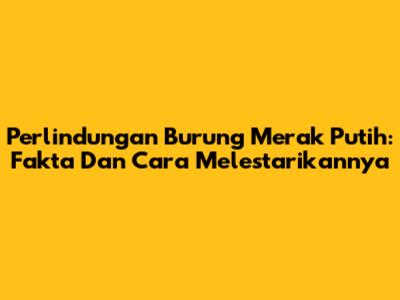 Perlindungan Burung Merak Putih: Fakta Dan Cara Melestarikannya