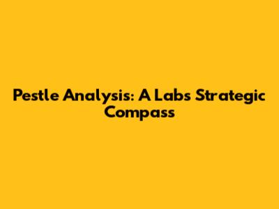 Pestle Analysis: A Lab's Strategic Compass