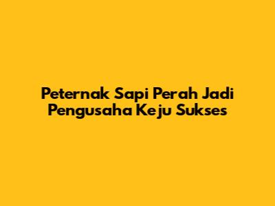 Peternak Sapi Perah Jadi Pengusaha Keju Sukses