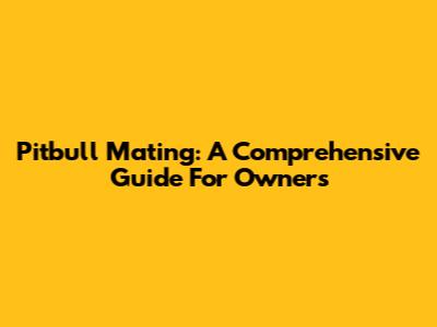 Pitbull Mating: A Comprehensive Guide For Owners