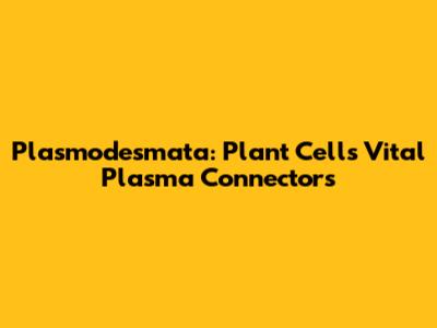 Plasmodesmata: Plant Cells' Vital Plasma Connectors