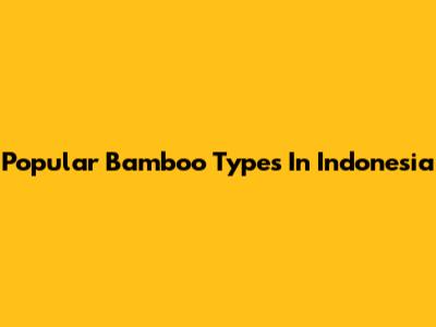 Popular Bamboo Types In Indonesia