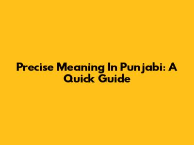 Precise Meaning In Punjabi: A Quick Guide