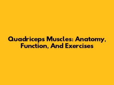 Quadriceps Muscles: Anatomy, Function, And Exercises