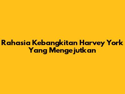 Rahasia Kebangkitan Harvey York Yang Mengejutkan