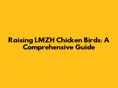 Raising LMZH Chicken Birds: A Comprehensive Guide