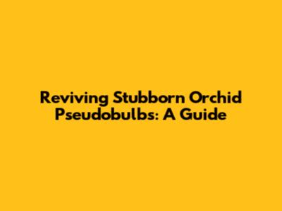 Reviving Stubborn Orchid Pseudobulbs: A Guide