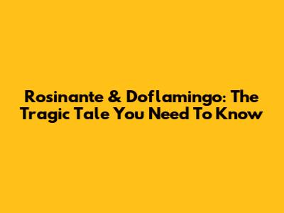 Rosinante & Doflamingo: The Tragic Tale You Need To Know