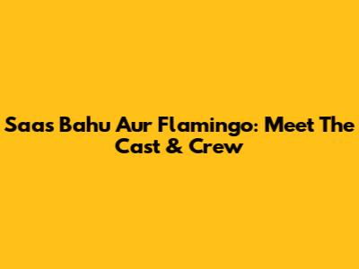 Saas Bahu Aur Flamingo: Meet The Cast & Crew