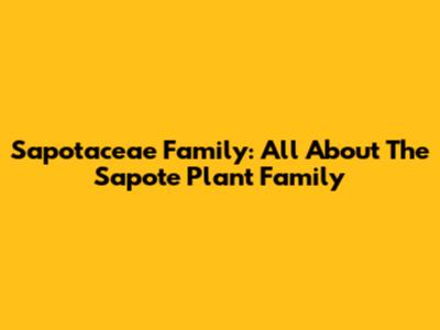 Sapotaceae Family: All About The Sapote Plant Family