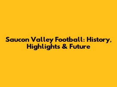 Saucon Valley Football: History, Highlights & Future