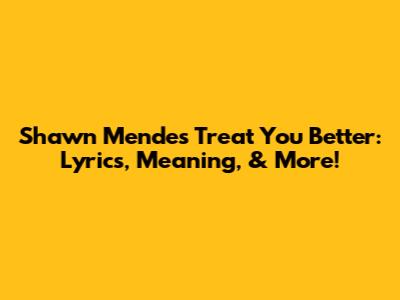 Shawn Mendes' 'Treat You Better': Lyrics, Meaning, & More!