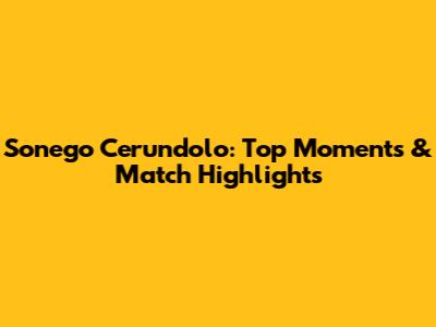Sonego Cerundolo: Top Moments & Match Highlights