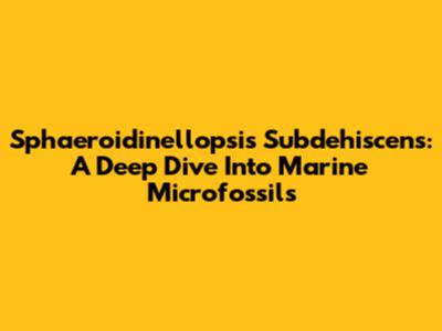 Sphaeroidinellopsis Subdehiscens: A Deep Dive Into Marine Microfossils