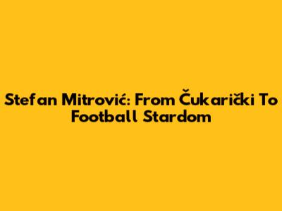 Stefan Mitrović: From Čukarički To Football Stardom