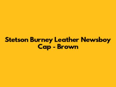 Stetson Burney Leather Newsboy Cap - Brown
